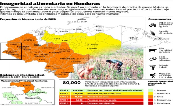 De 20% es la reserva de maíz que tienen productores; temen escasez
