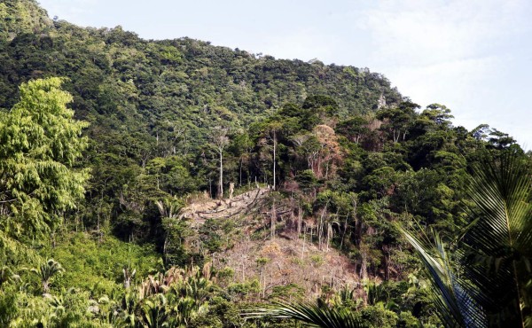 Amenazados los deportes extremos en La Ceiba por daño en cuenca del Cangrejal