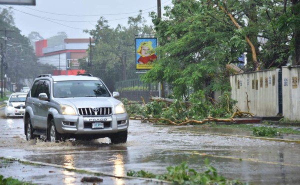 Calles inundadas y árboles caídos dejan fuertes lluvias en La Ceiba