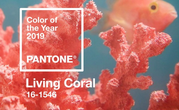 Pantone anuncia el color oficial del 2019