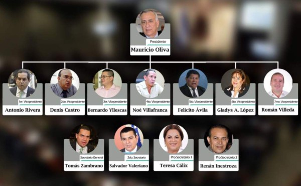 Médicos, abogados, ingenieros y profesores en junta directiva del Congreso Nacional