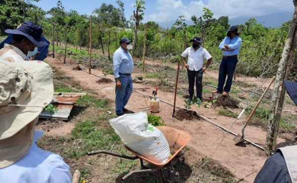 Ayuda en Acción, Casm y Curla acuerdan mejorar condiciones de vida de La Mosquitia y Colón