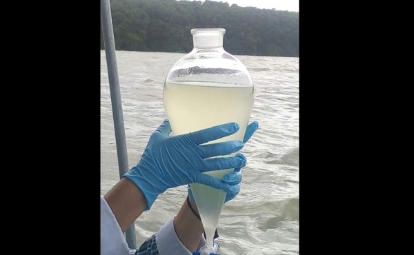 Hoy darán resultados por masiva muerte de peces