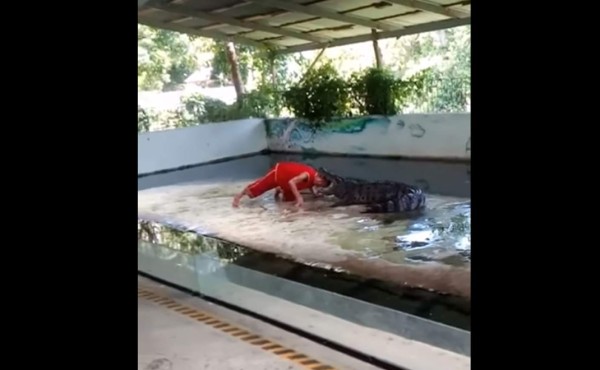 El brutal ataque de un cocodrilo a su domador