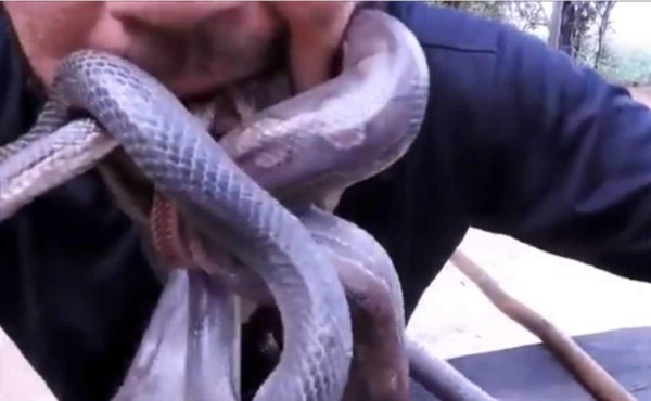 Hombre se mete cuatro serpientes vivas en la boca