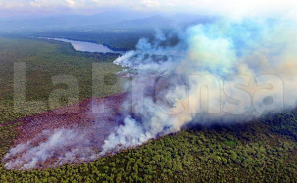 Incendio en el parque Jeannette Kawas fue provocado