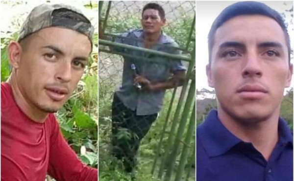 Identifican a los tres hombres asesinados en zona montañosa de La Ceiba