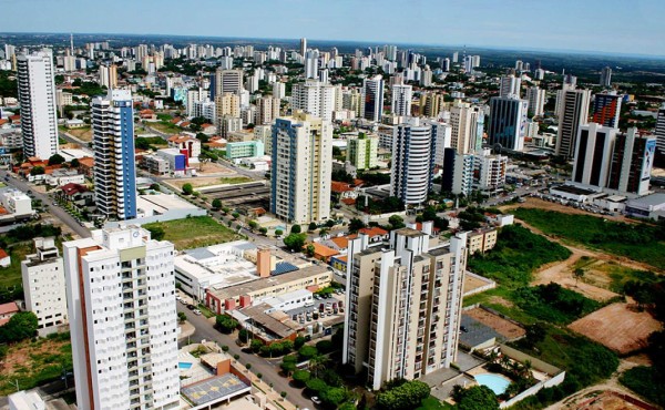 Detienen en Brasil a presunto violador trepado a un árbol