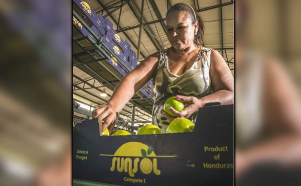 FAO buscará involucrar a las mujeres en el agro