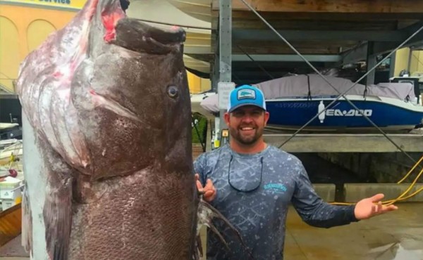 Atrapan un gigantesco pez de 50 años en Florida