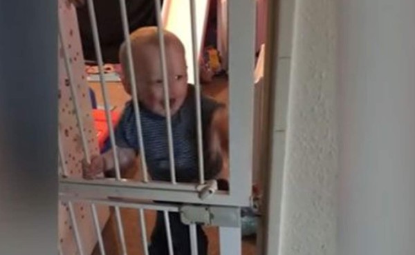 Video: La agilidad de un bebé al escalar una reja alta