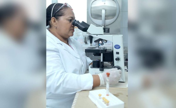 Casos de zika se reducen más del 95% en San Pedro Sula