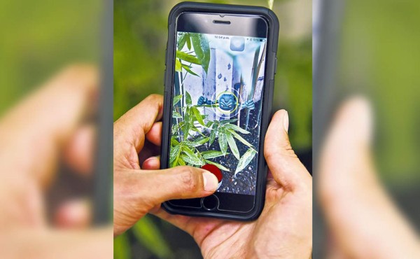 Pokémon Go siente la brecha cambiaria entre México y Japón