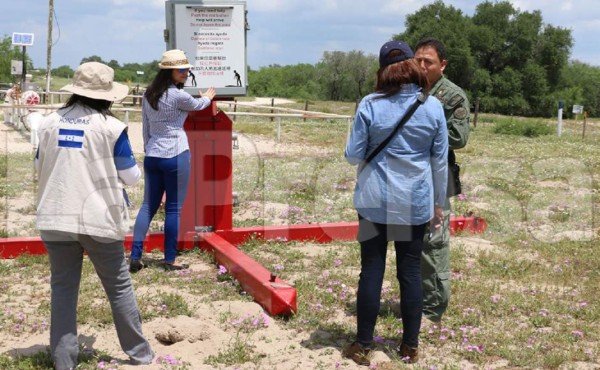 Hondureño vio morir a su hermana en el desierto