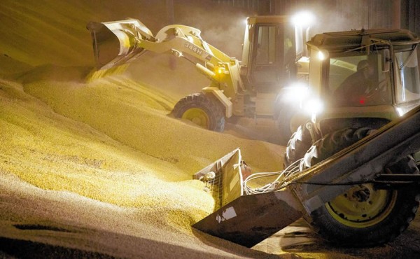 Las grandes cosechas no dan respiro a los precios de las materias primas