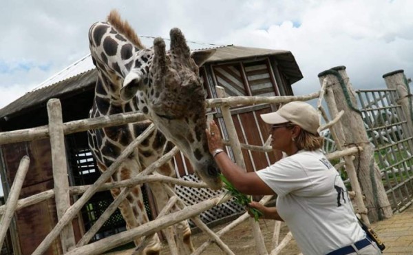 En crisis financiera el zoológico y ecoparque Joya Grande