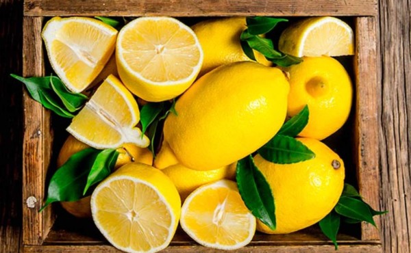 Limones y otras frutas cítricas, ricas en vitamina C y antioxidantes