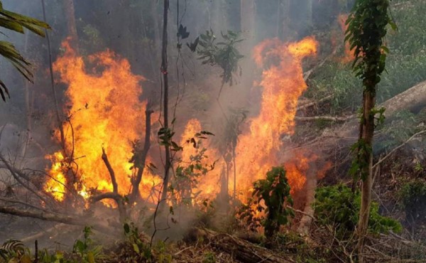 Foto: La Prensa