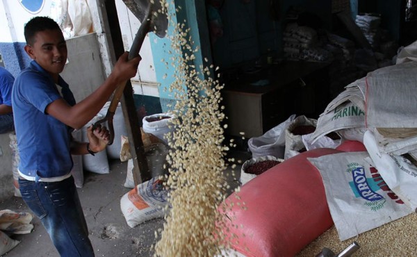 En 6 meses prestan al agro más de 5,000 millones de lempiras