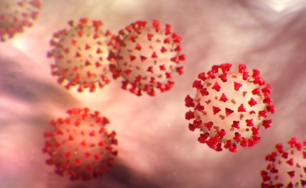 El coronavirus puede sobrevivir en las superficies durante horas, según estudio