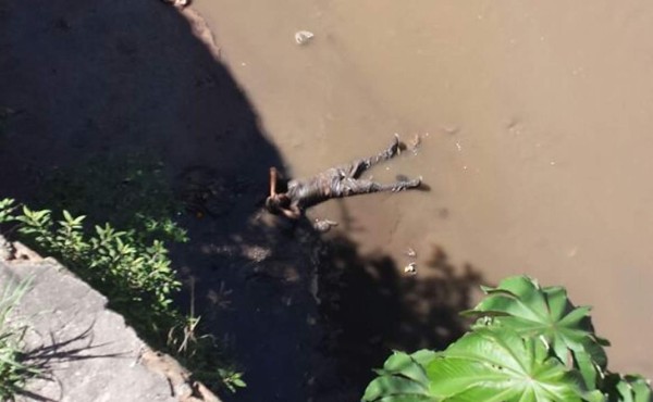Hombre se lanza desde un puente en Tegucigalpa y sobrevive&nbsp;&nbsp;
