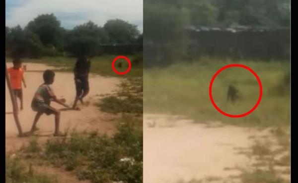 Video: niños argentinos graban a un 'duende' en una cancha de fútbol