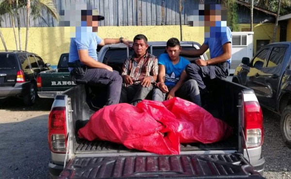 Los detienen y les decomisan presunta marihuana valorada en unos L90,000