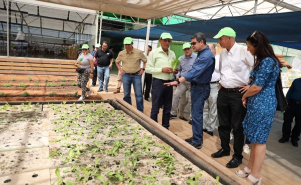 Presidente Hernández visita granja orgánica experimental única en Israel