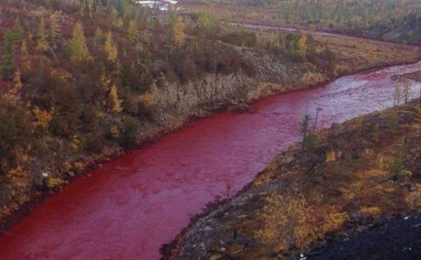 Investigan por qué un río se tiñó de rojo intenso en Rusia