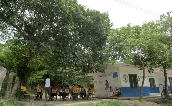 La copa de un árbol sirve de techo a escuela en San Pedro Sula