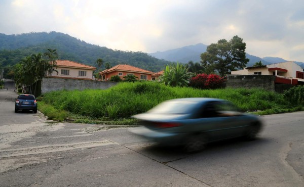 Matorral siembra temor en la colonia Trejo