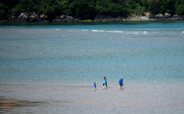El océano, un pulmón para el planeta clave en la crisis climática  