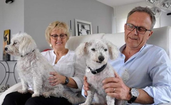 Una familia francesa encuentra a su perro extraviado hace once años    