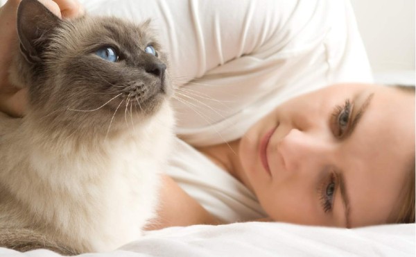 Triste porque perderá a su compañera