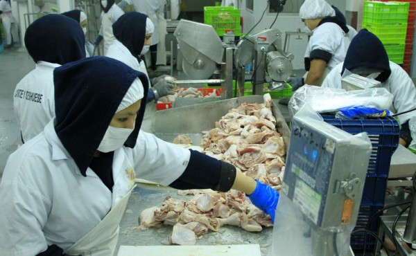 Avanzan negociaciones para exportar productos avícolas a Corea y Taiwán