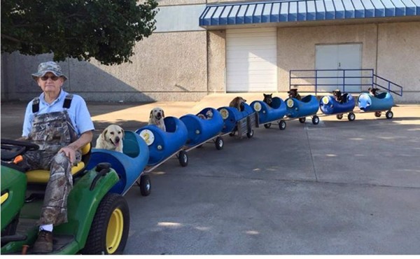 El jubilado Eugene Bostick mientras pasea a los perros de la calle.