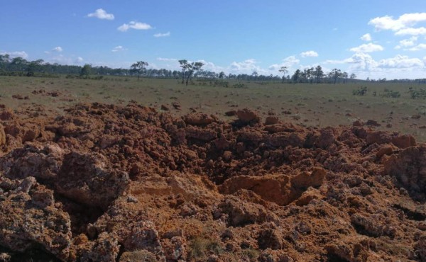 Hallan y destruyen en Honduras una pista clandestina usada para narcotráfico