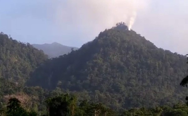 Honduras: investigan posible fenómeno volcánico en Pico Bonito