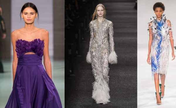 Todas a volar, las plumas están de regreso