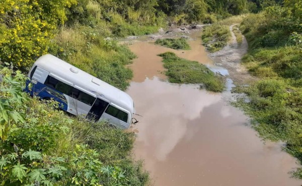 Bus cae en hondonada y deja cuatro heridos: rescatista resulta atacado por una boa