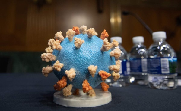 Vacuna contra el coronavirus genera respuesta inmune en pruebas iniciales