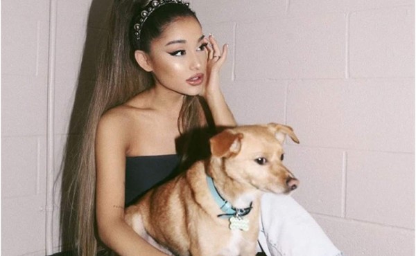 Perros de Ariana Grande vuelan en su propio avión privado