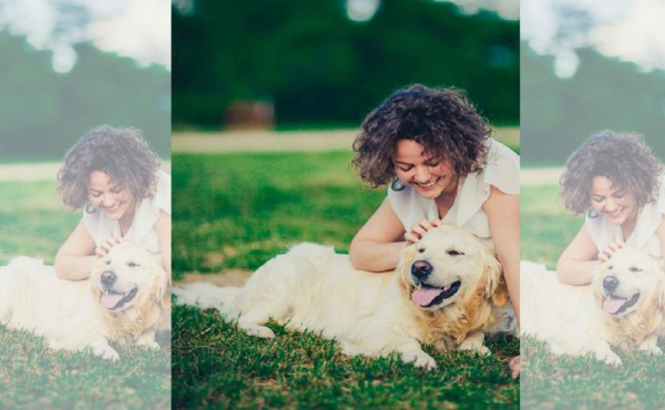 Trucos para educar tu perro