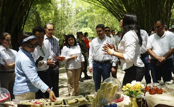 Firma japonesa elogia el cacao hondureño