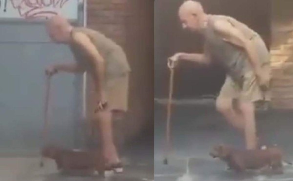 El perro más paciente del mundo que todos quieren tener