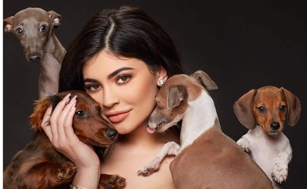 ¿Qué hizo Kylie Jenner con todos sus perros?