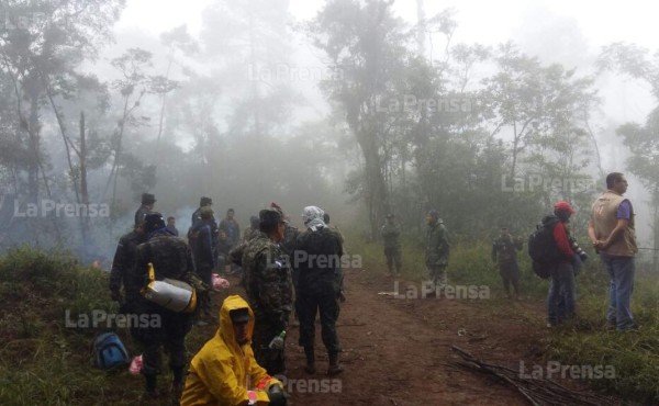 Restos de las seis víctimas del accidente en el que murió Hilda Hernández llegan a la morgue