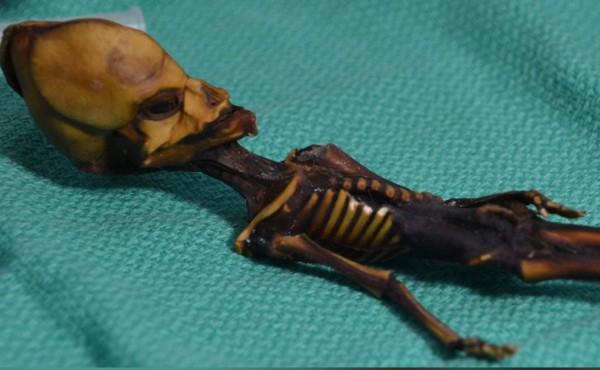 Revelan el misterio tras el supuesto 'Alien de Atacama'