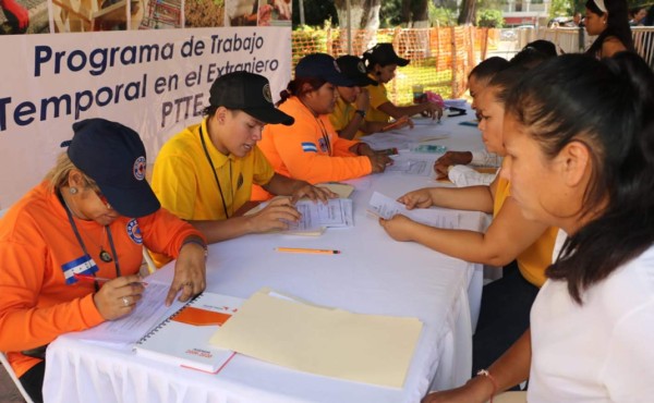 Hondureños buscan una oportunidad para visa de trabajo en EEUU