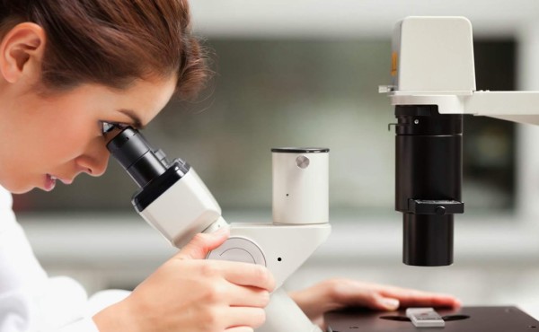 Cromosoma 21 podría disminuir el riesgo de sufrir cáncer